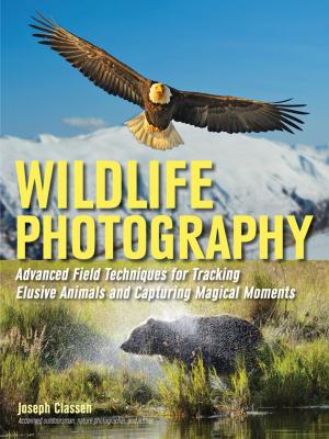 Book cover of Wildlife Photography
