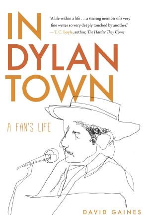 Cover of the book In Dylan Town by Lynn Waltz