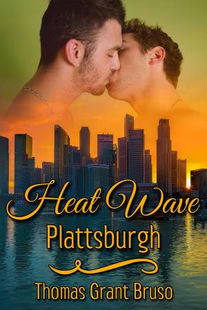 Book cover of Heat Wave: Plattsburgh