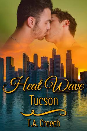 Book cover of Heat Wave: Tucson