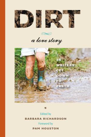 Cover of the book Dirt by Katie Fallon