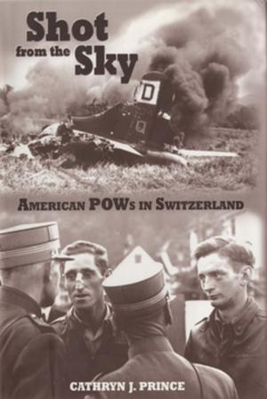 Cover of the book Shot from the Sky by Ward Carroll
