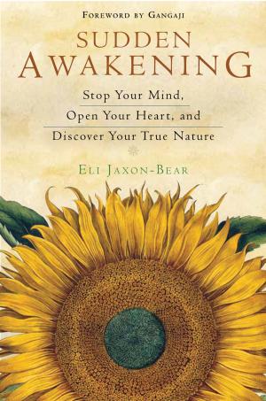 Cover of the book Sudden Awakening by Jenniffer Weigel