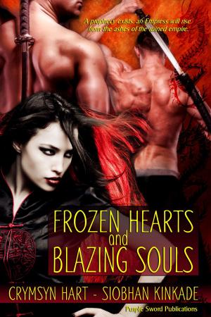 Cover of the book Frozen Hearts and Blazing Souls by Diana DeRicci
