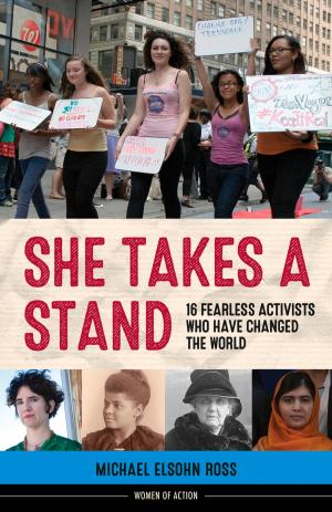 Cover of the book She Takes a Stand by Kimberly Monaghan