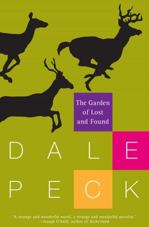 Cover of the book The Garden of Lost and Found by Cara Black