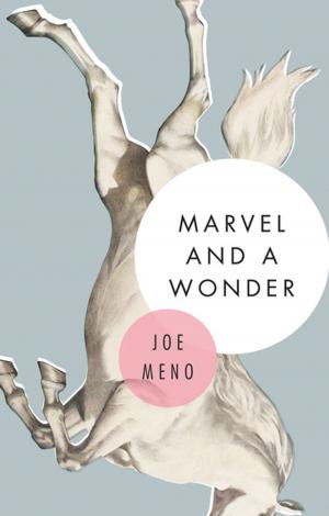 Cover of the book Marvel and a Wonder by Anthony C. Winkler