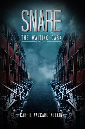 Cover of the book Snare (The Waiting Dark Book 1) by M.L. Katz