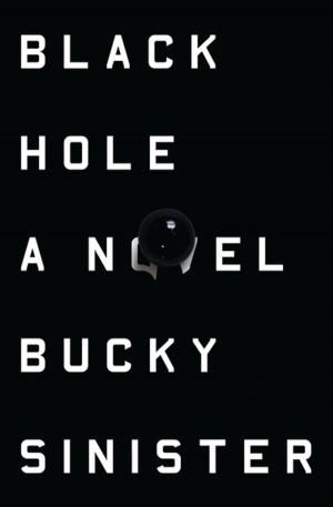 Cover of the book Black Hole by James Srodes