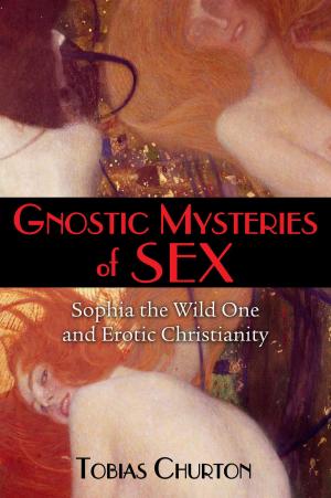 bigCover of the book Gnostic Mysteries of Sex by 