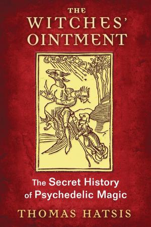 Book cover of The Witches' Ointment