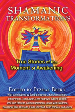 Cover of the book Shamanic Transformations by Maria Theresia Peters