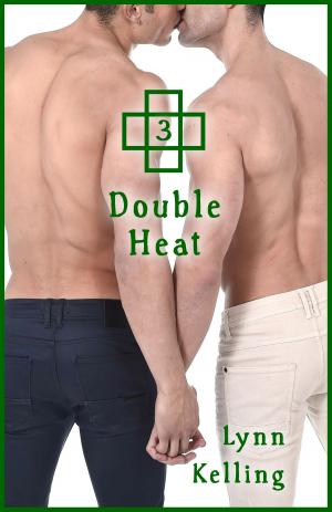 Cover of the book Double Heat by Annabeth Leong