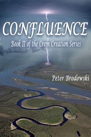 Cover of the book CONFLUENCE by Ty Roth