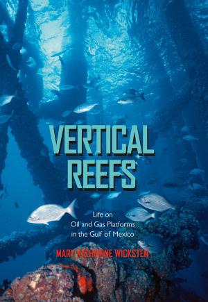 Cover of the book Vertical Reefs by John W. Tunnell Jr., Noe C Barrera, Fabio Moretzsohn
