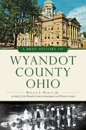 Cover of the book A Brief History of Wyandot County, Ohio by Joseph G. Bilby, Harry Ziegler