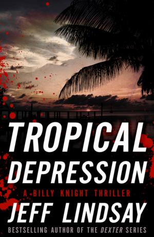 Cover of the book Tropical Depression by Lauren Baratz-Logsted