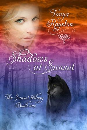 bigCover of the book Shadows at Sunset by 