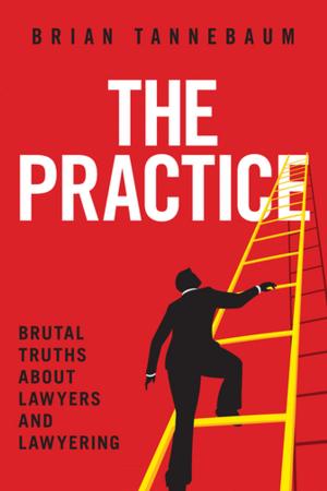 Cover of the book The Practice by Steven Keeva