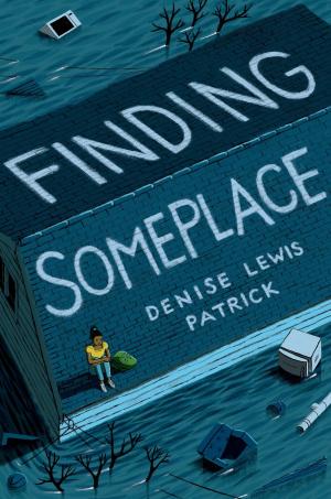 bigCover of the book Finding Someplace by 