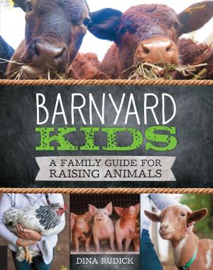 Cover of the book Barnyard Kids by Anna Schepper, Lene Schepper