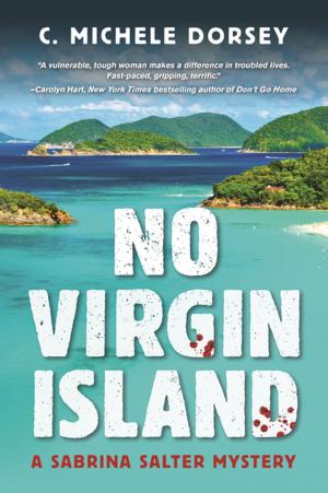 Cover of the book No Virgin Island by Carrie Smith
