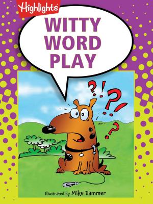 Cover of the book Witty Word Play by Desmond  Kaze