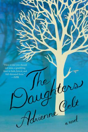Cover of the book The Daughters: A Novel by Will Boast