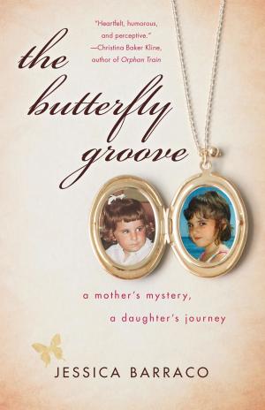 Cover of the book The Butterfly Groove by Linda A. Curtis