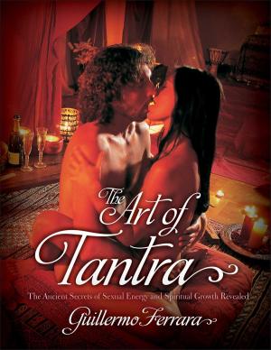 bigCover of the book The Art of Tantra by 