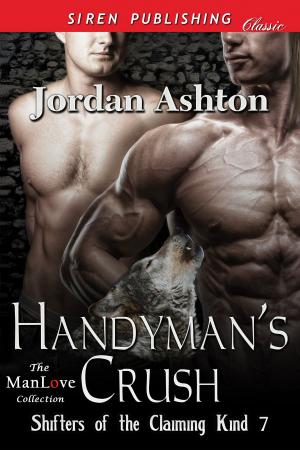 Cover of the book Handyman's Crush by Kris Royce