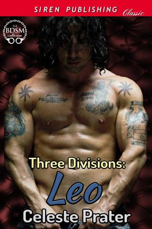 Cover of the book Three Divisions: Leo by Géraldine Vibescu