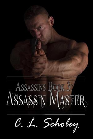 Cover of the book Assassin Master by Shady Grace