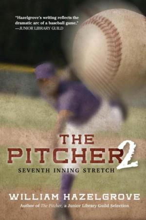 Book cover of The Pitcher 2