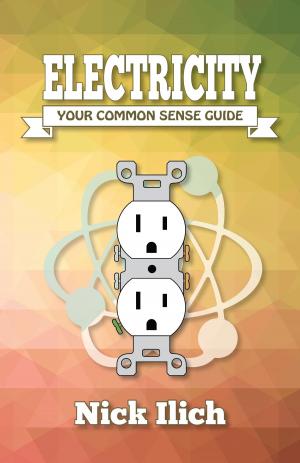 Cover of the book Electricity - Your Common Sense Guide by Brian D.  Peterson