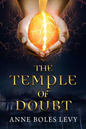 Cover of the book The Temple of Doubt by Jennifer Kurani