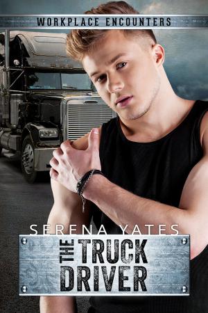 bigCover of the book The Truck Driver by 