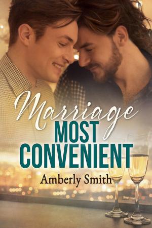 Cover of the book Marriage Most Convenient by S.E. Diemer