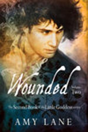 Book cover of Wounded, Vol. 2