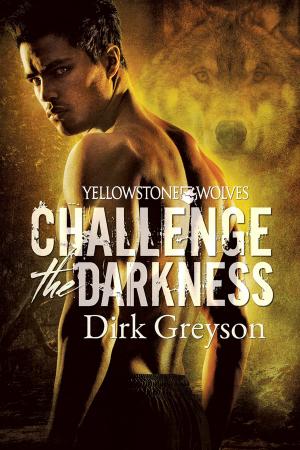 Cover of the book Challenge the Darkness by Hayley B. James