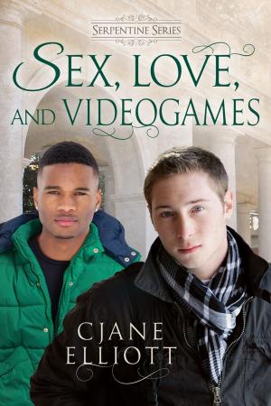 Cover of the book Sex, Love, and Videogames by Shira Anthony