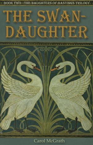 Book cover of The Swan-Daughter