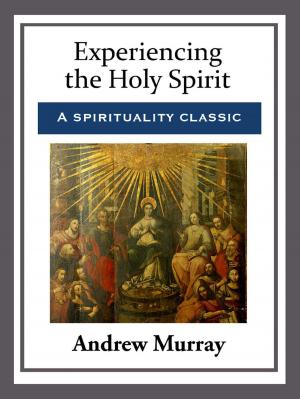 Cover of the book Experiencing the Holy Spirit by Lord Dunsany
