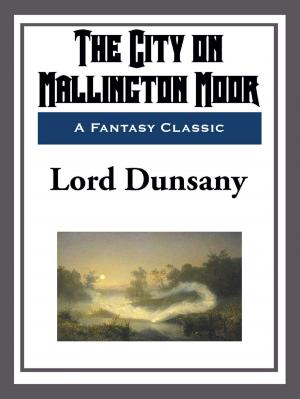 Cover of the book The City on Mallington Moor by Voltaire