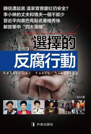 Cover of the book 《選擇的反腐行動》 by Joe Cottonwood