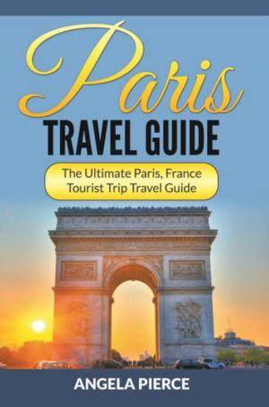 Cover of the book Paris Travel Guide by Valerie Alston