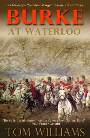Cover of the book Burke at Waterloo by Simon Hall