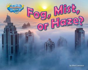 Cover of the book Fog, Mist, or Haze? by Joyce Markovics