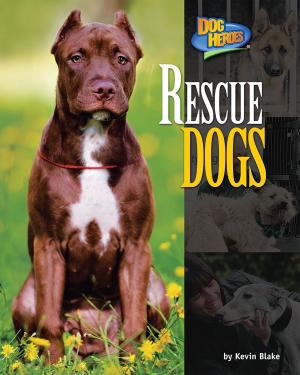 Cover of the book Rescue Dogs by K.C. Kelley