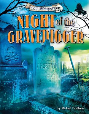 Cover of the book Night of the Gravedigger by Joyce Markovics